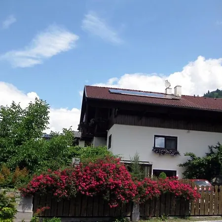 Panoramic View - Hollaus House 別荘 ツェル アム ゼー