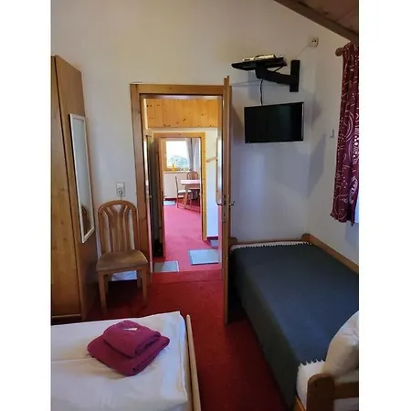 Panoramic View - Hollaus House 別荘 ツェル アム ゼー
